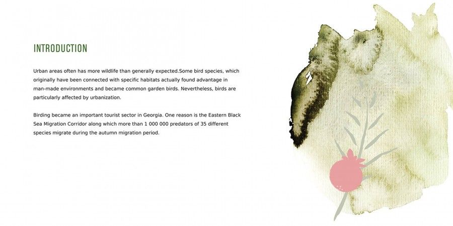 Design of Brochure for Sabuko (Society for the Conservation of Nature)